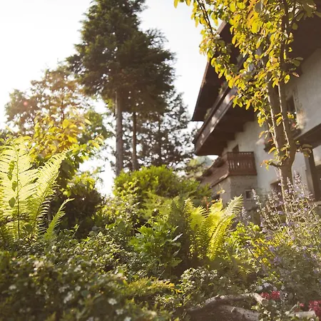 Haus Stadt Apartmán *