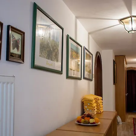 Haus Stadt Apartmán *