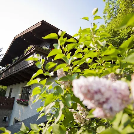 Haus Stadt * Solnohrad